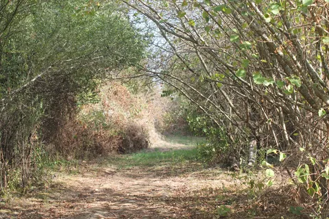 chemin 1 immersion
