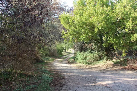 chemin entrée immersion