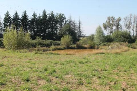 poitn d'eau étang GN